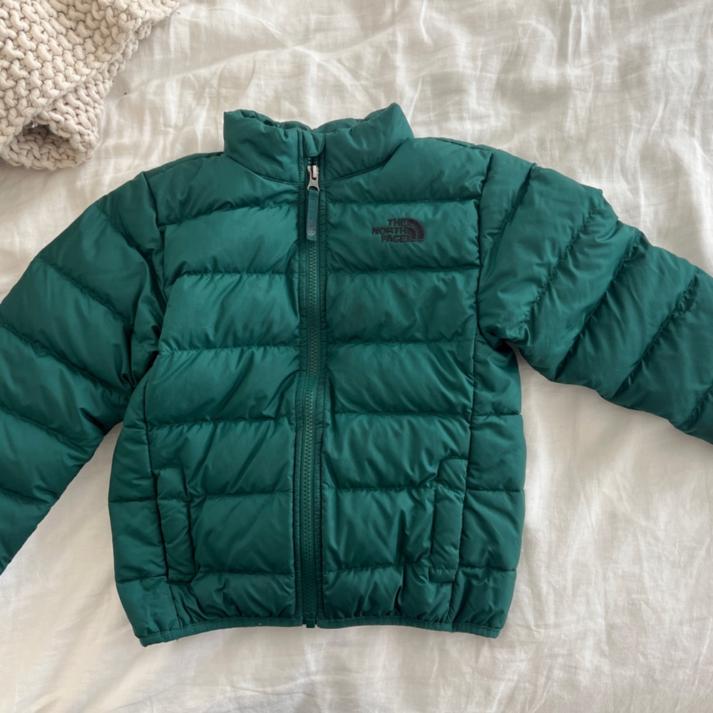 The North Face Kids Teal Puffer Jacket